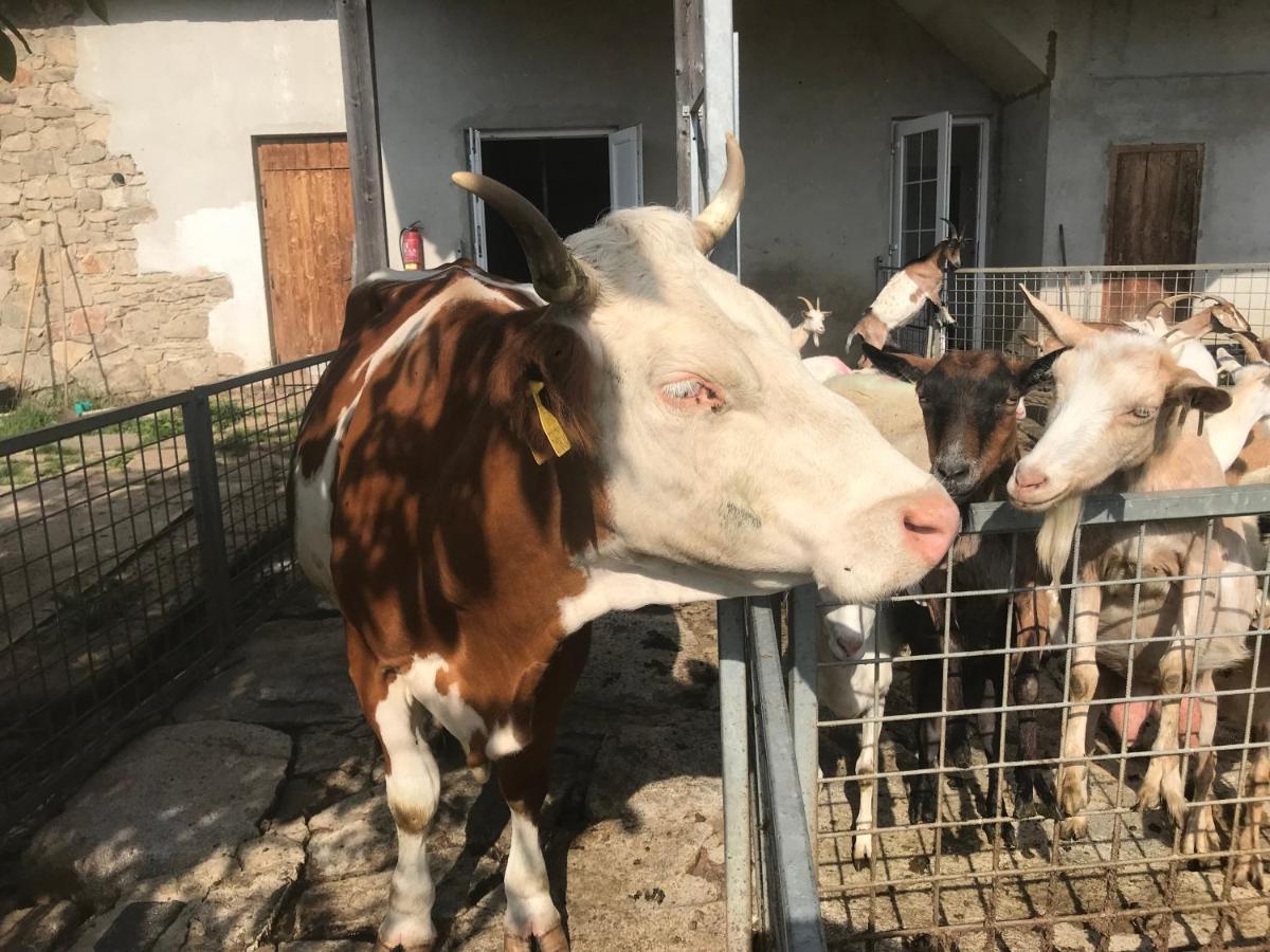 Pension Biofarma Slunecna Želnava Εξωτερικό φωτογραφία